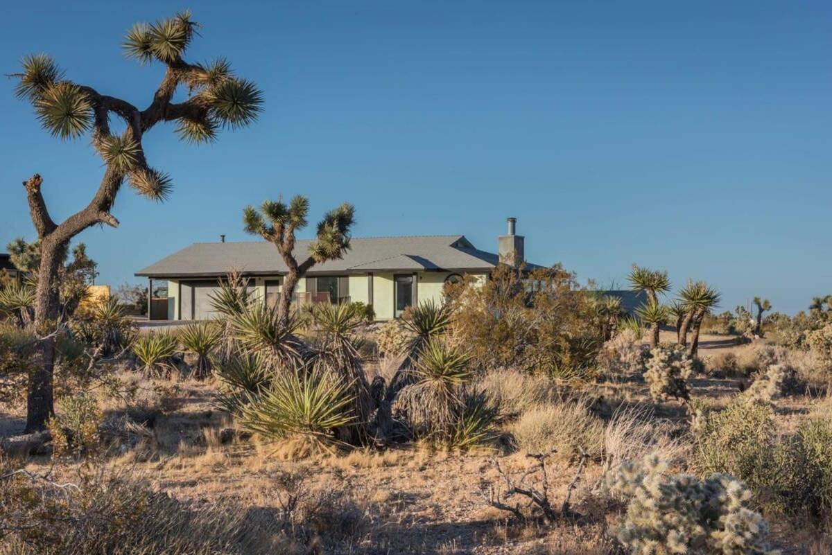 Yucca Hut - Design Forward Oasis Near Joshua Tree Villa Bagian luar foto